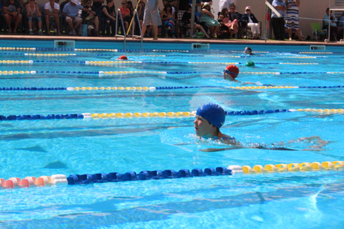 PC swim carnival 090
