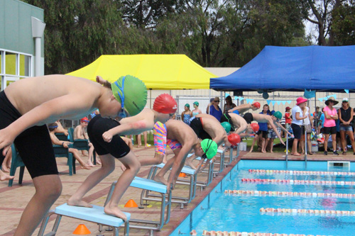PC swim carnival 154