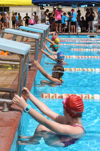 PC swim carnival 195