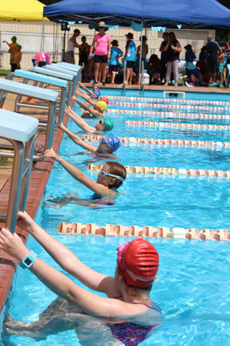 PC swim carnival 196