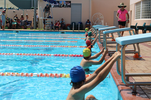 PC swim carnival 250