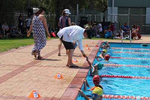 PC swim carnival 274
