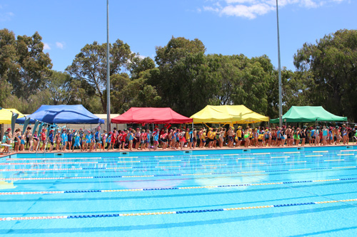 PC swim carnival 339