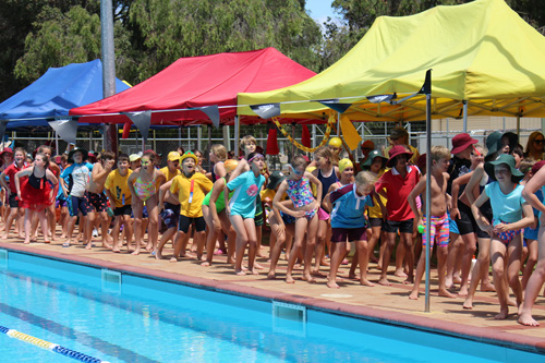 PC swim carnival 366