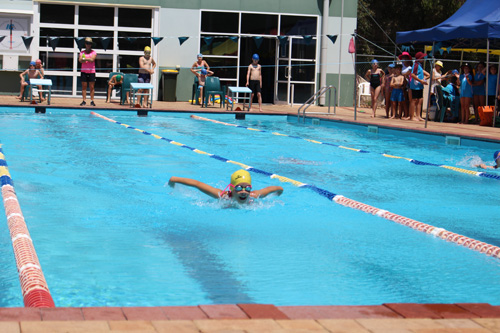 PC swim carnival 376