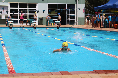 PC swim carnival 378