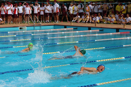 SC 2016 swim carnival 067