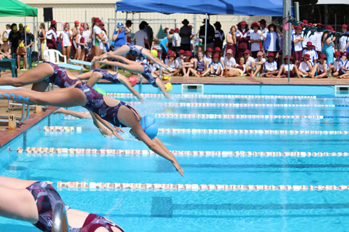 SC 2016 swim carnival 216