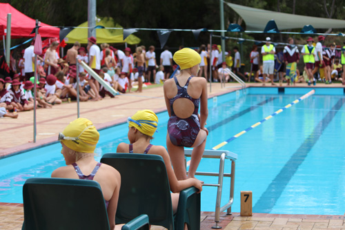 SC 2016 swim carnival 279