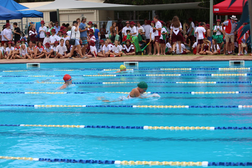 SC 2016 swim carnival 304