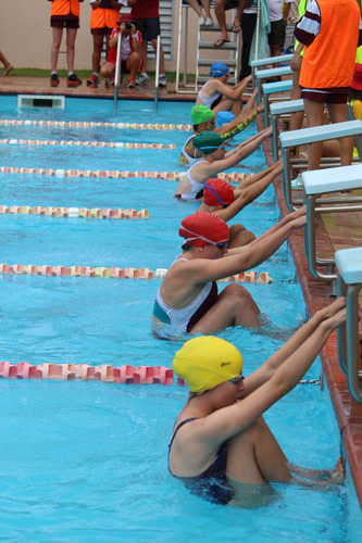 SC 2016 swim carnival 439