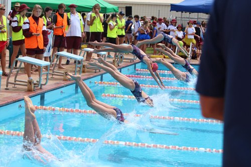 SC 2016 swim carnival 485