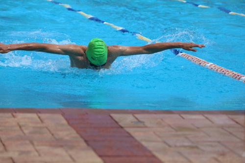 SC 2016 swim carnival 539