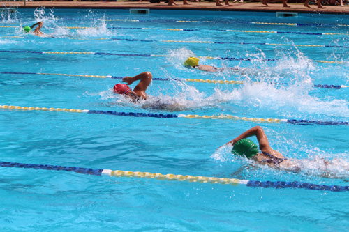 SC 2016 swim carnival 646