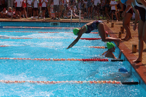 SC 2016 swim carnival 707