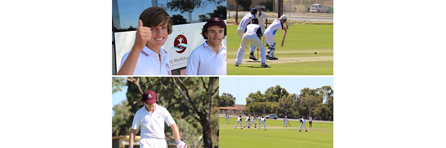 Cricket 2016 season summary