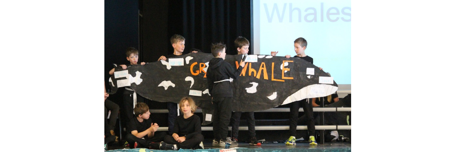 Assembly and Awards 5DA: What does the Whale Say?