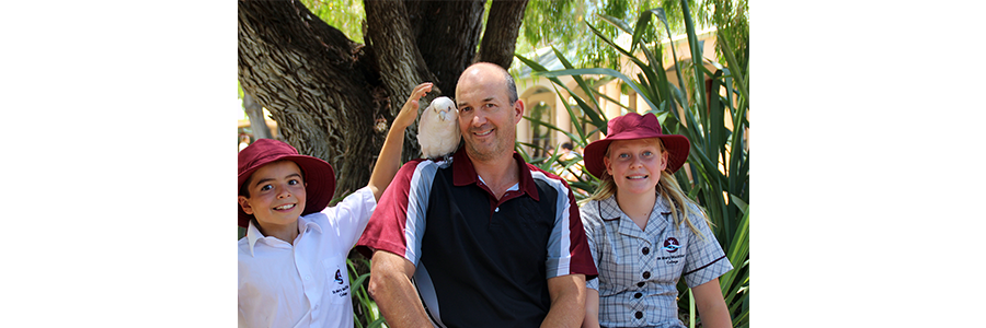 First week of school for a cockatoo