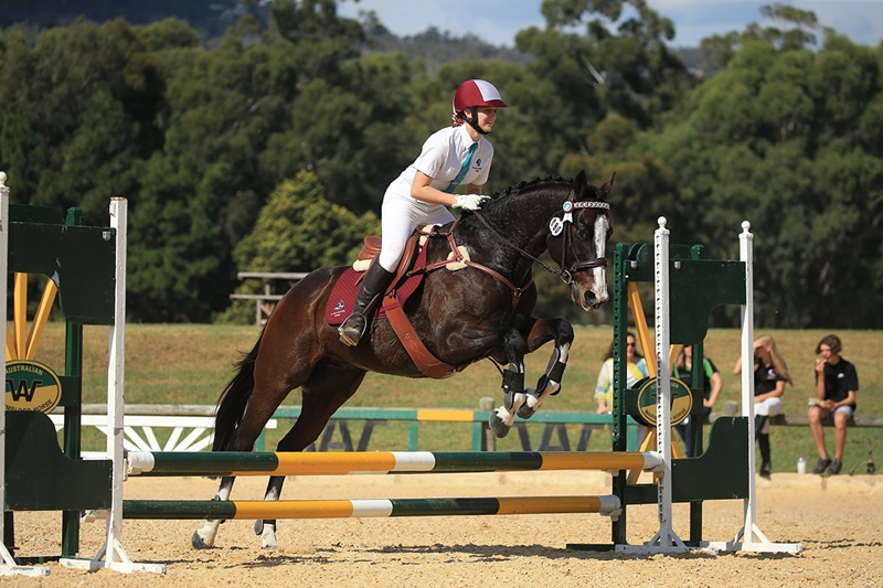 Equestrian (5)