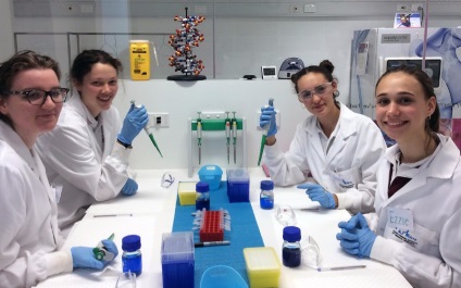 Students work with DNA mutations in medical research