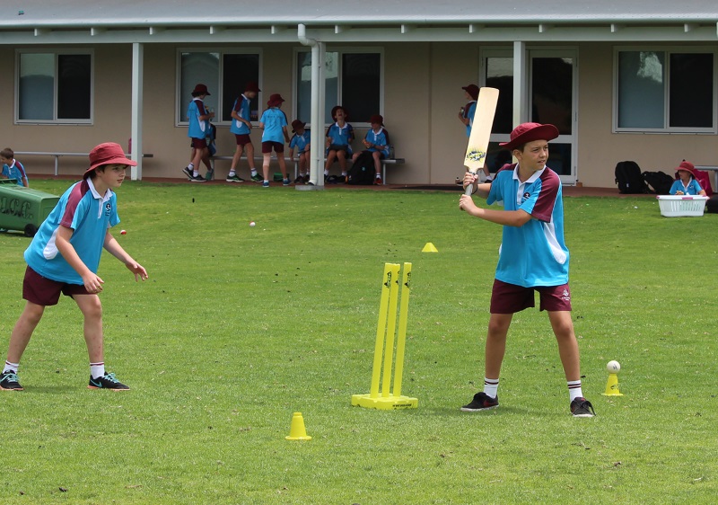 Year 5 and 6 students enjoy Cricket T20 Blast (5)