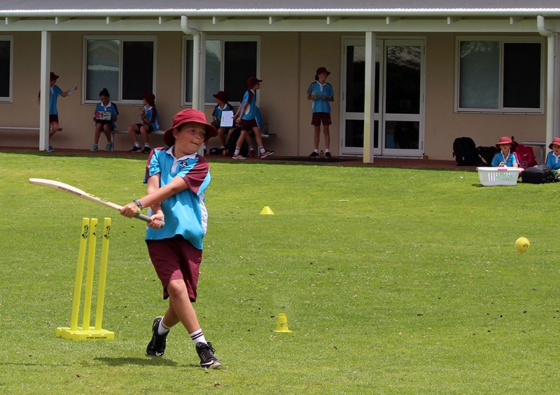 Year 5 and 6 students enjoy Cricket T20 Blast (6)