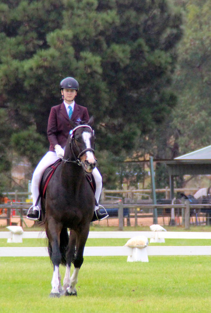 Inter Schools Equestrian Festival3