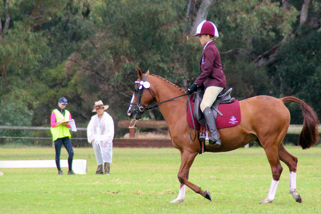 Inter Schools Equestrian Festival4
