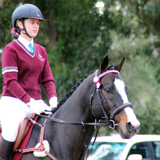 Inter Schools Equestrian Festival7