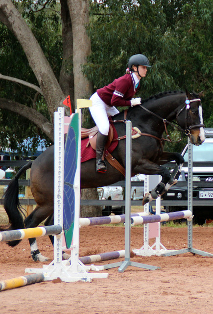 Inter Schools Equestrian Festival8
