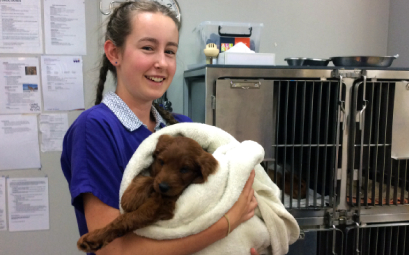 Year 10 Work Experience