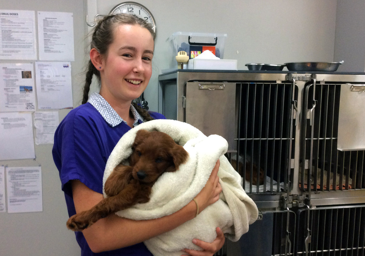 Year 10 Work Experience5