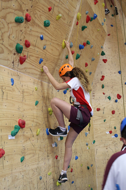 Year 78 Activity Week5