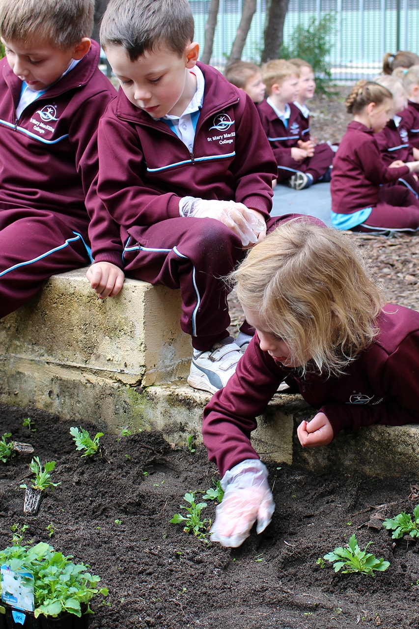 Img-Pre-Primary-Students-Plant-Interactive-Gardens-1