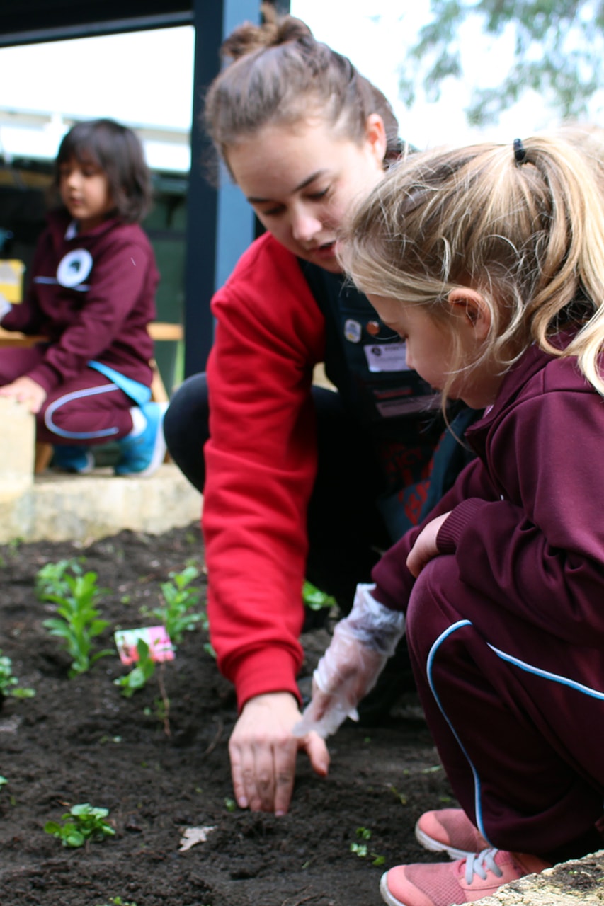 Img-Pre-Primary-Students-Plant-Interactive-Gardens-2