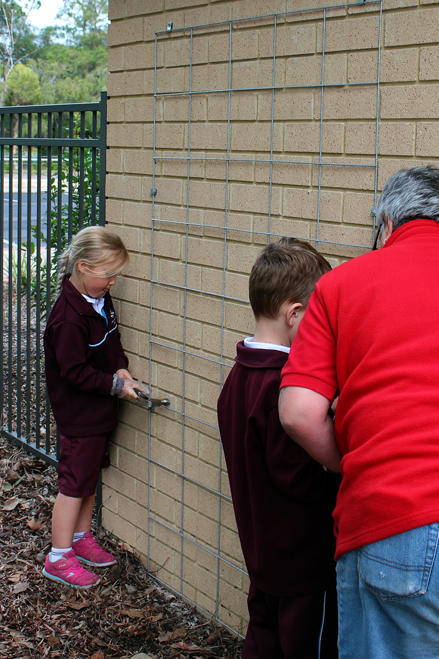 Img-Pre-Primary-Students-Plant-Interactive-Gardens-3