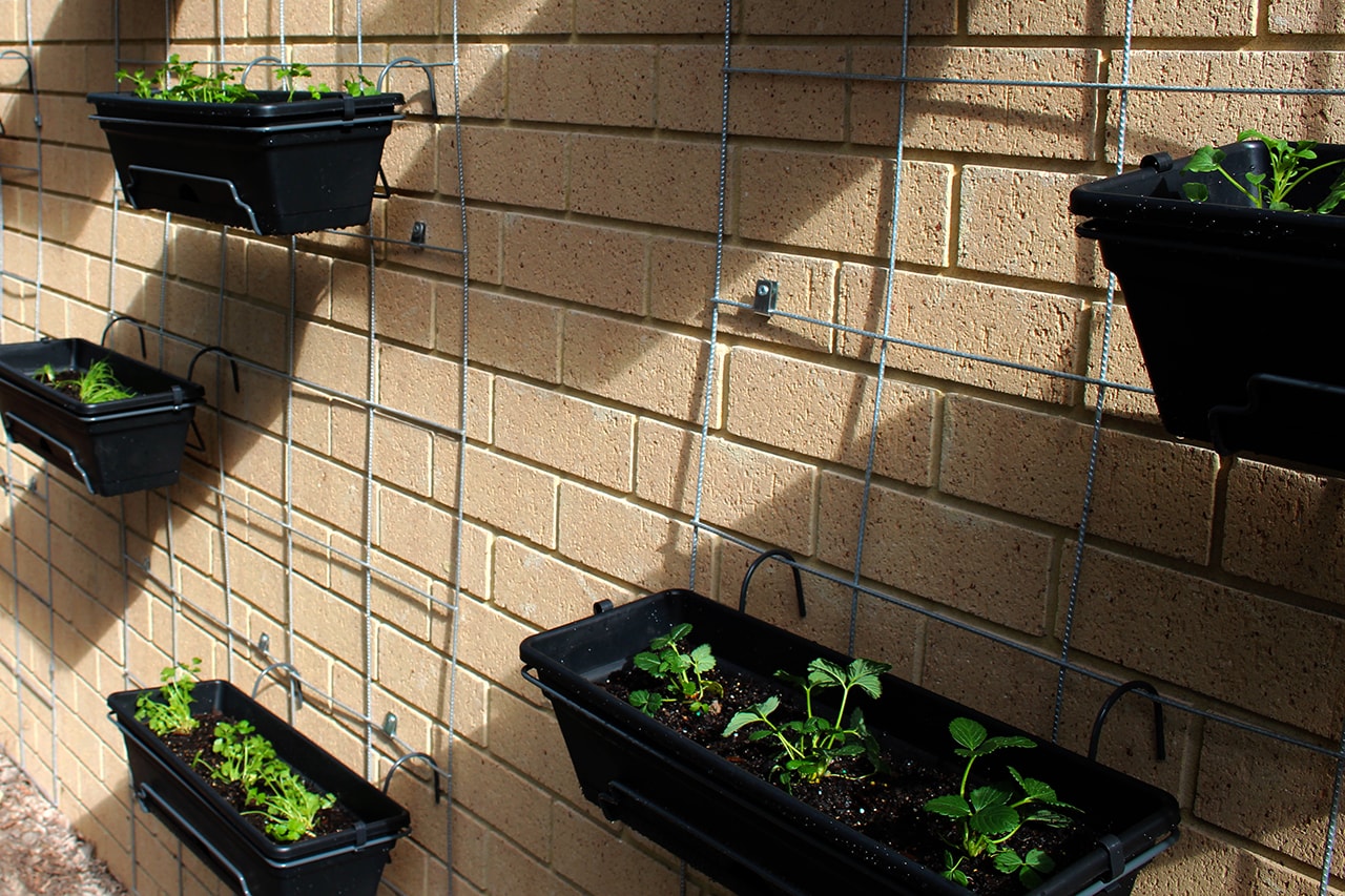Img-Pre-Primary-Students-Plant-Interactive-Gardens-8