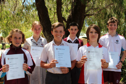 ICAS Maths Distinctions