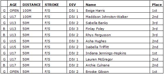 Best-Individual-Results_01