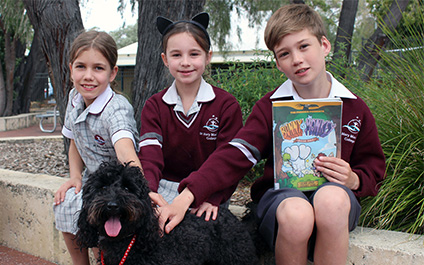 Meet ‘Chief’, our resident Wellness Dog