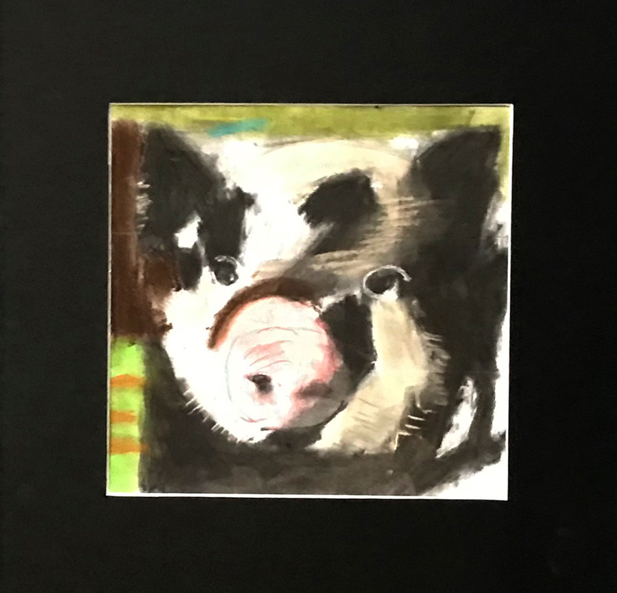 Oscar Buck - pig