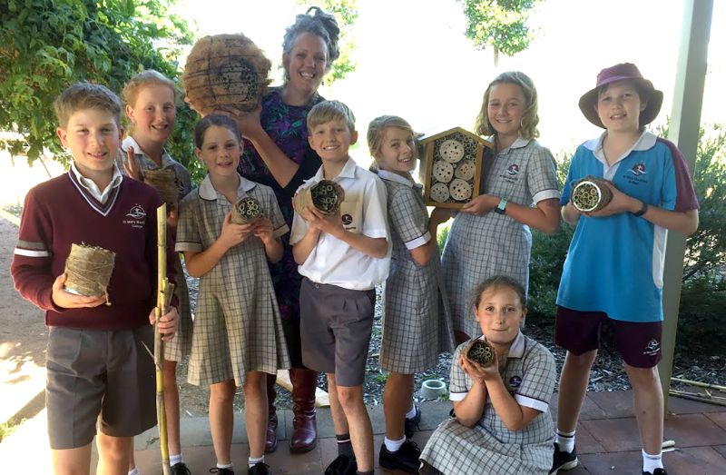 Curiosity Academy: Native Bee Hotels
