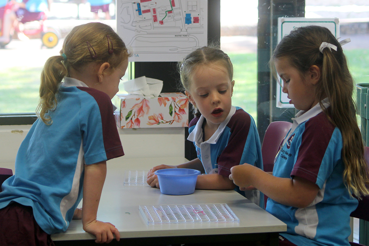 IMG_7890