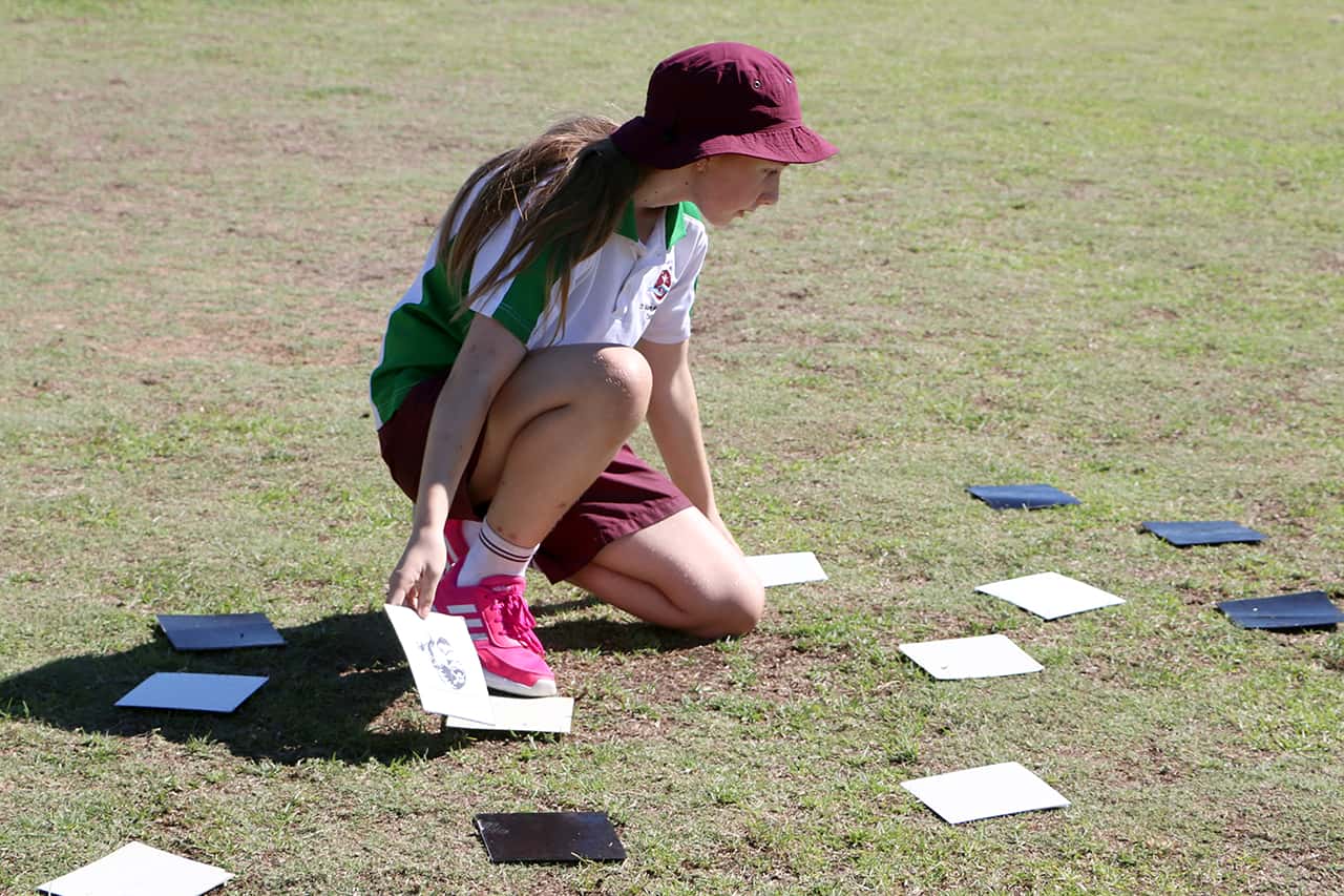 Activity Week & Work Experience Image (27)