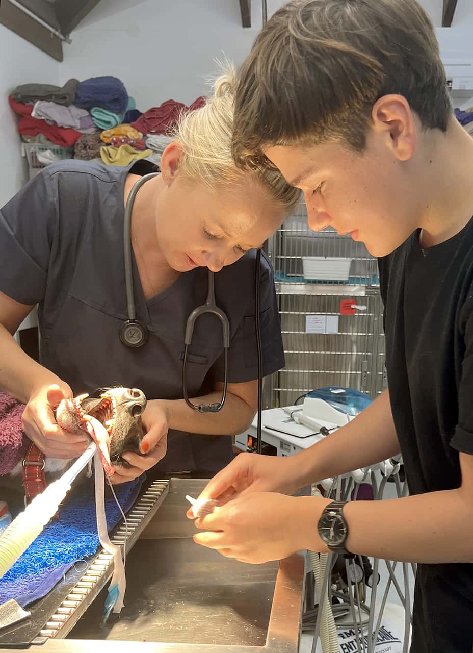 Activity Week & Work Experience Image (33)