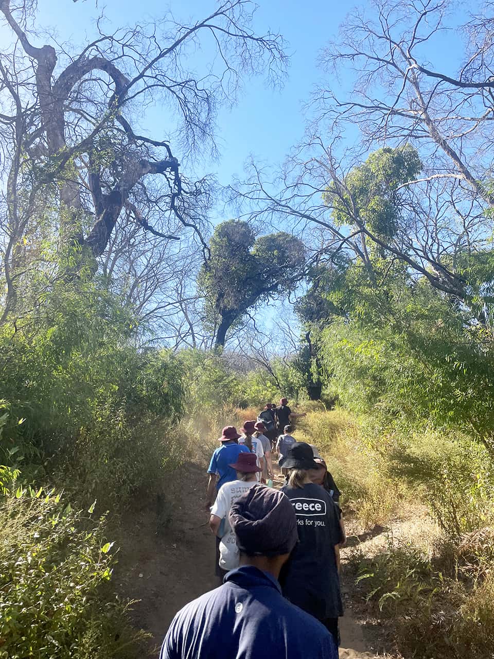 Year 9 OEG Camp Image (3)