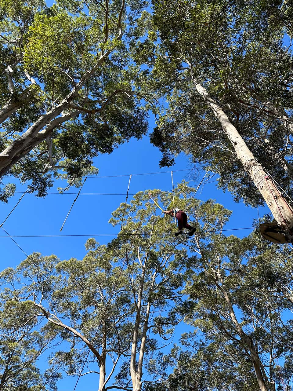 Year 9 OEG Camp Image (30)