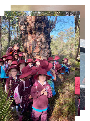 Kindy-1B-Excursion-Thumbnail