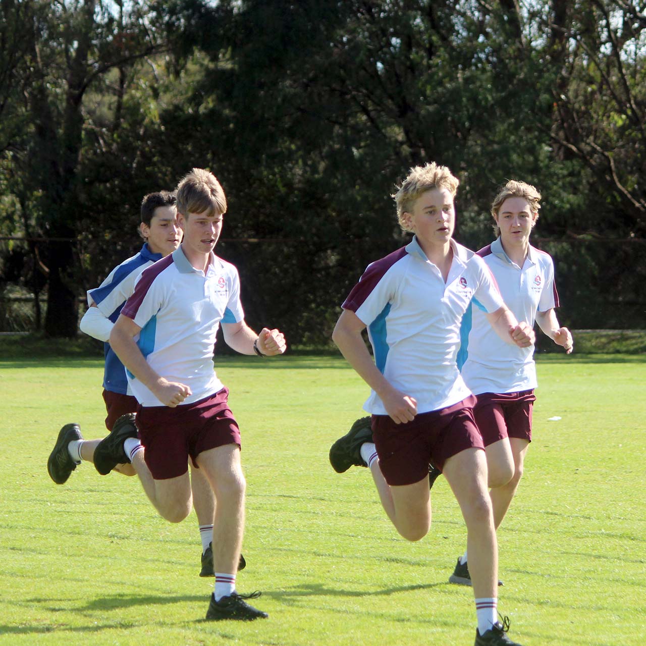 IMG_3240